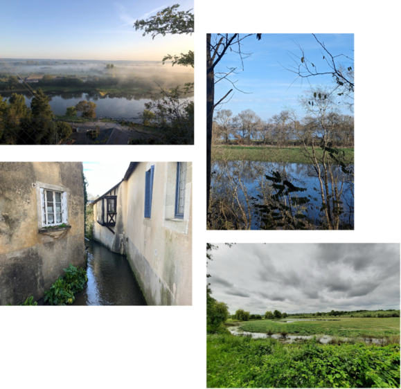 Image2_jh_anjou_medium.png